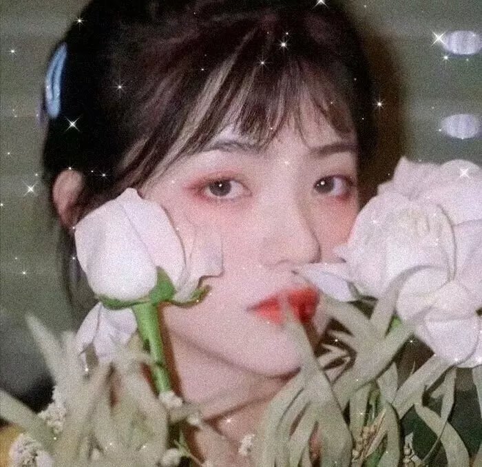 火山与海的孩子